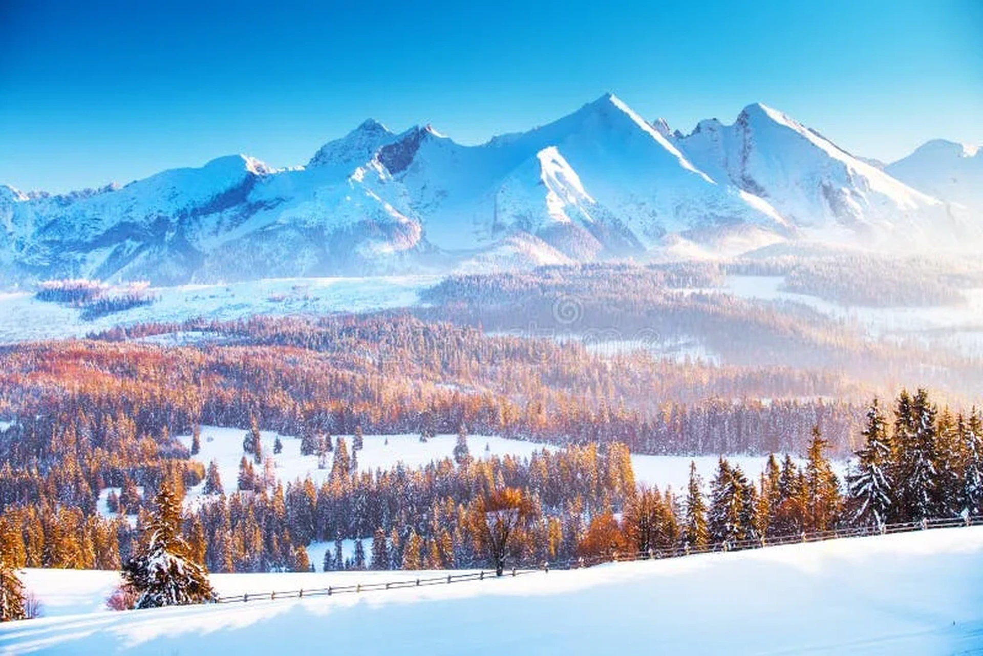 澳洲幸运十推荐阿斯彭雪堆山冬季美景